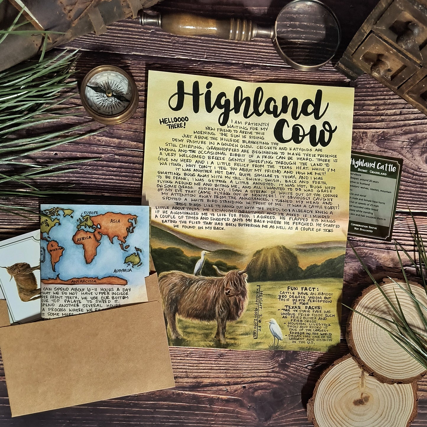 Highland Cow BASIC Letter June 2023