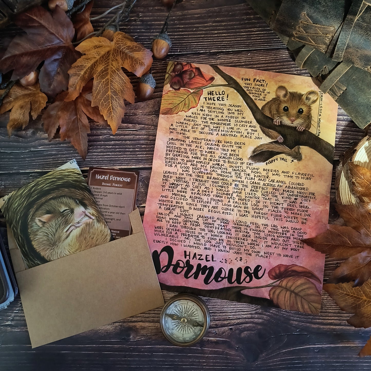 Hazel Dormouse BASIC Letter November 2023