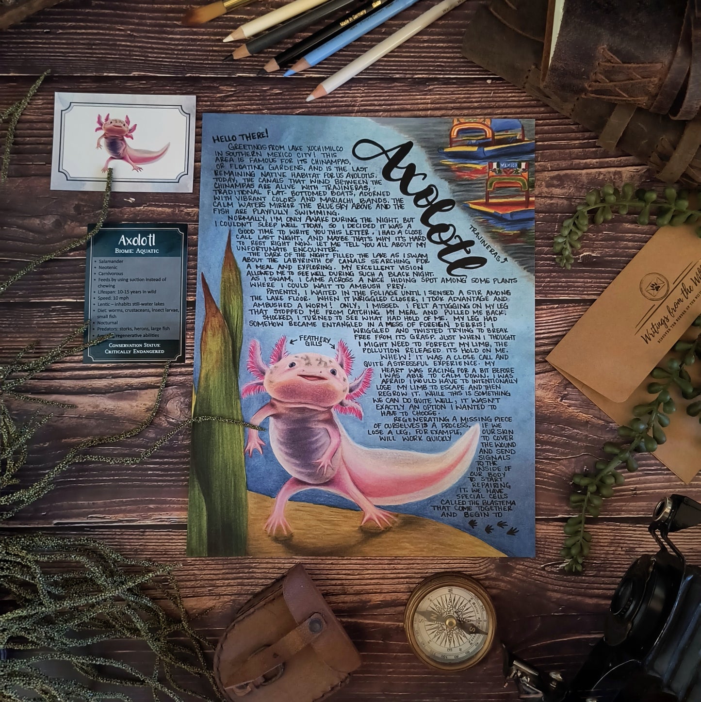 Axolotl BASIC Letter February 2024