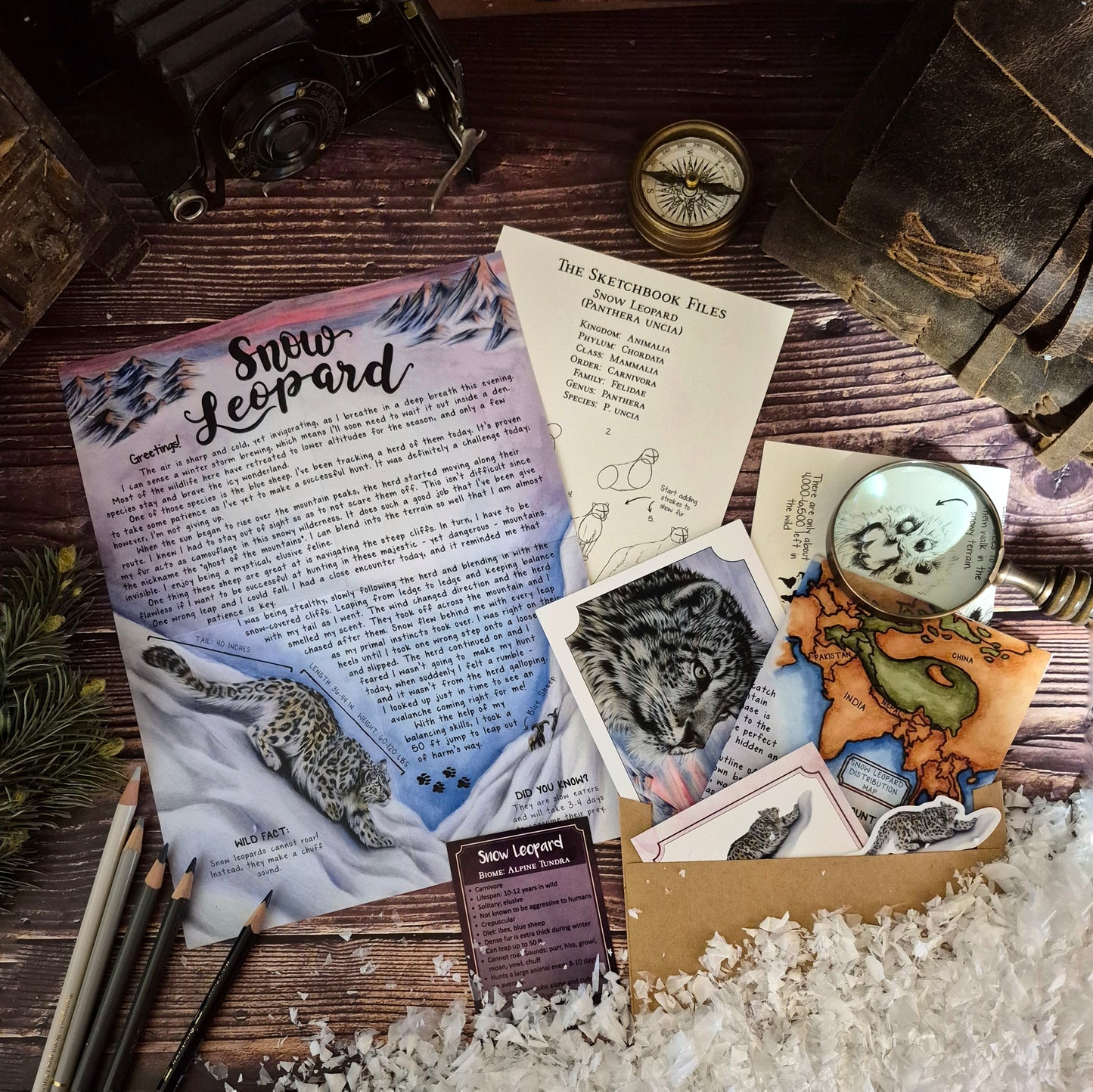 Snow Leopard BASIC Letter December 2024