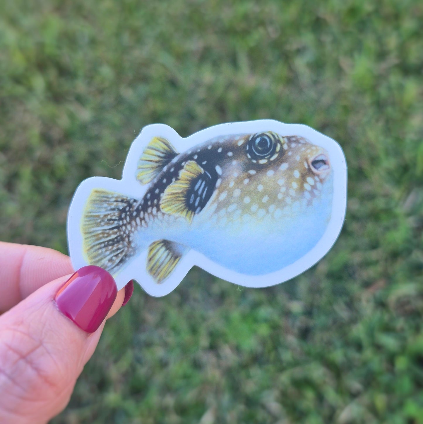 Pufferfish Sticker