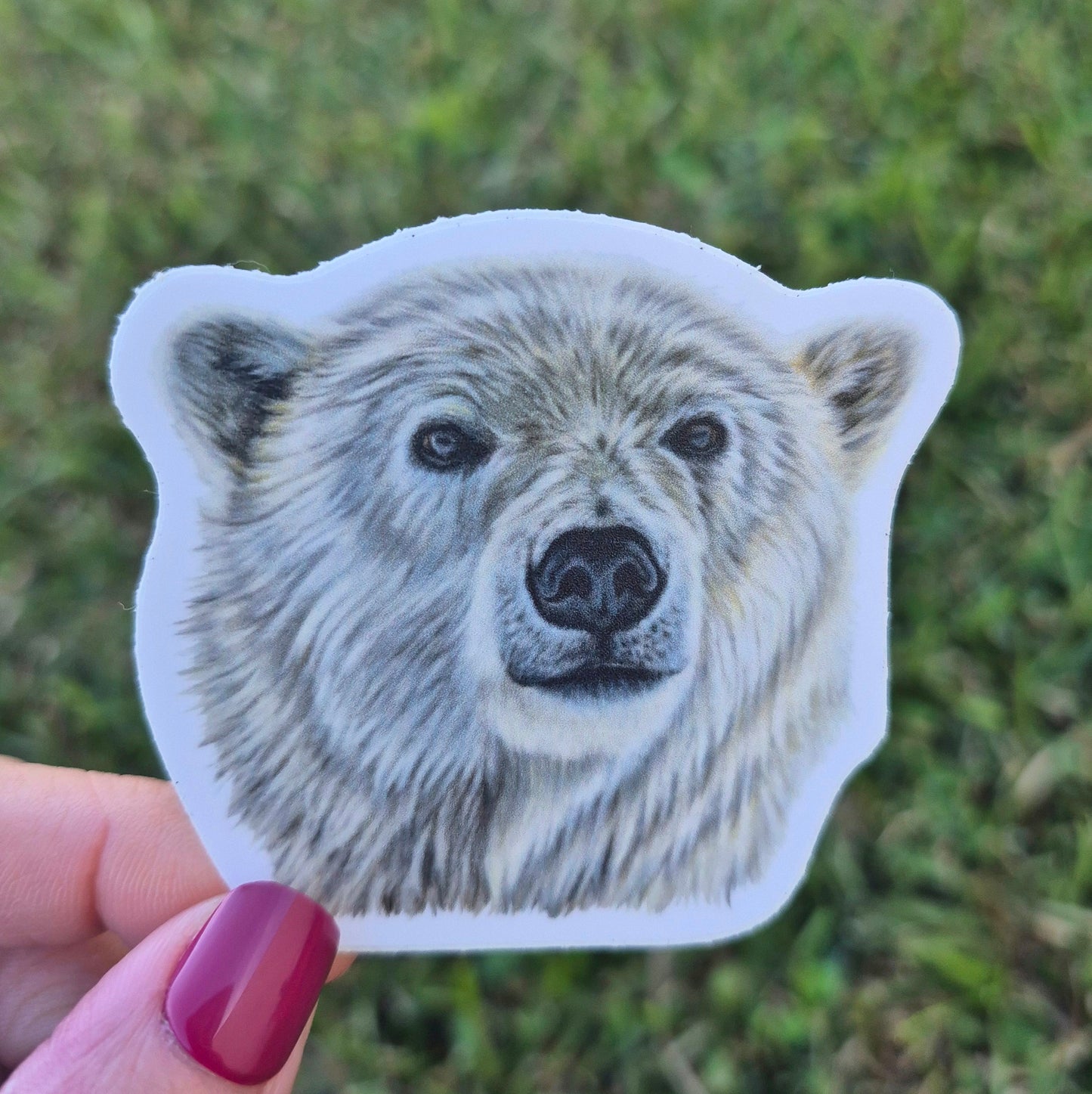 Polar Bear Sticker