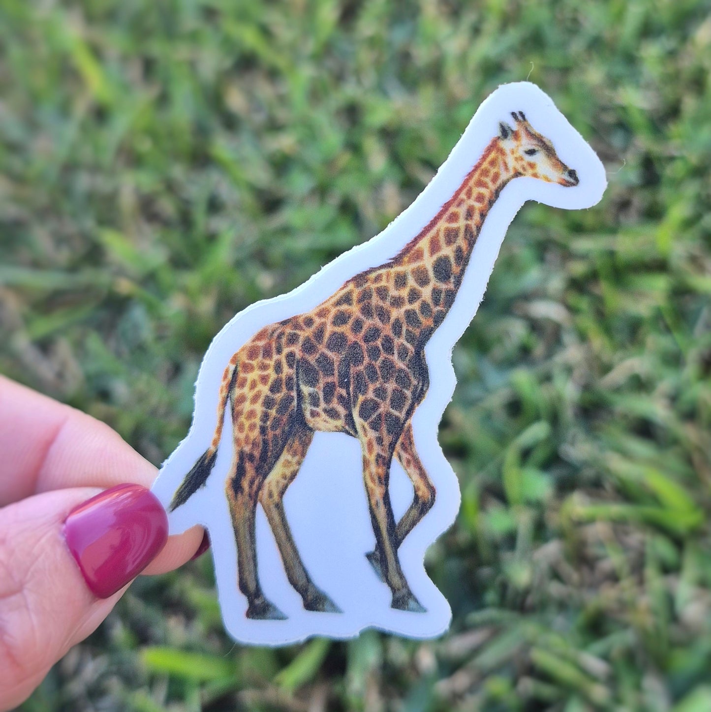 Giraffe Sticker