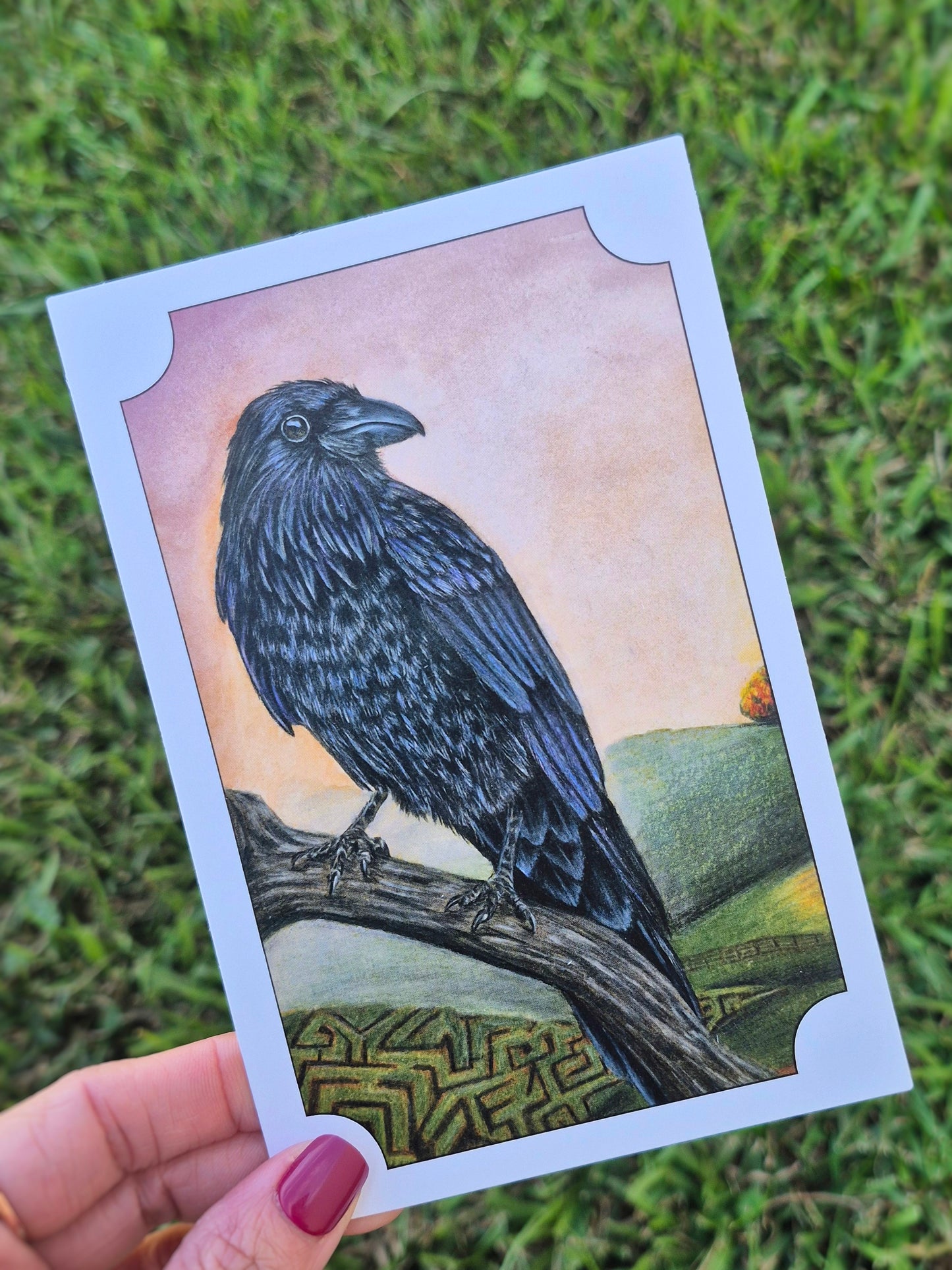 Raven Postcard