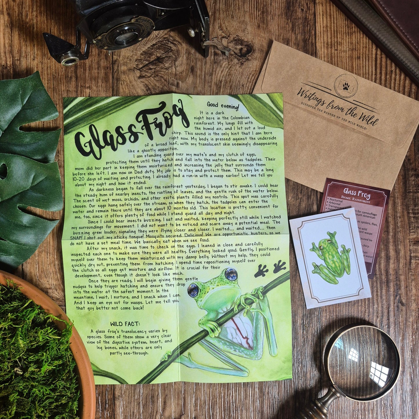 Glass Frog BASIC April 2026