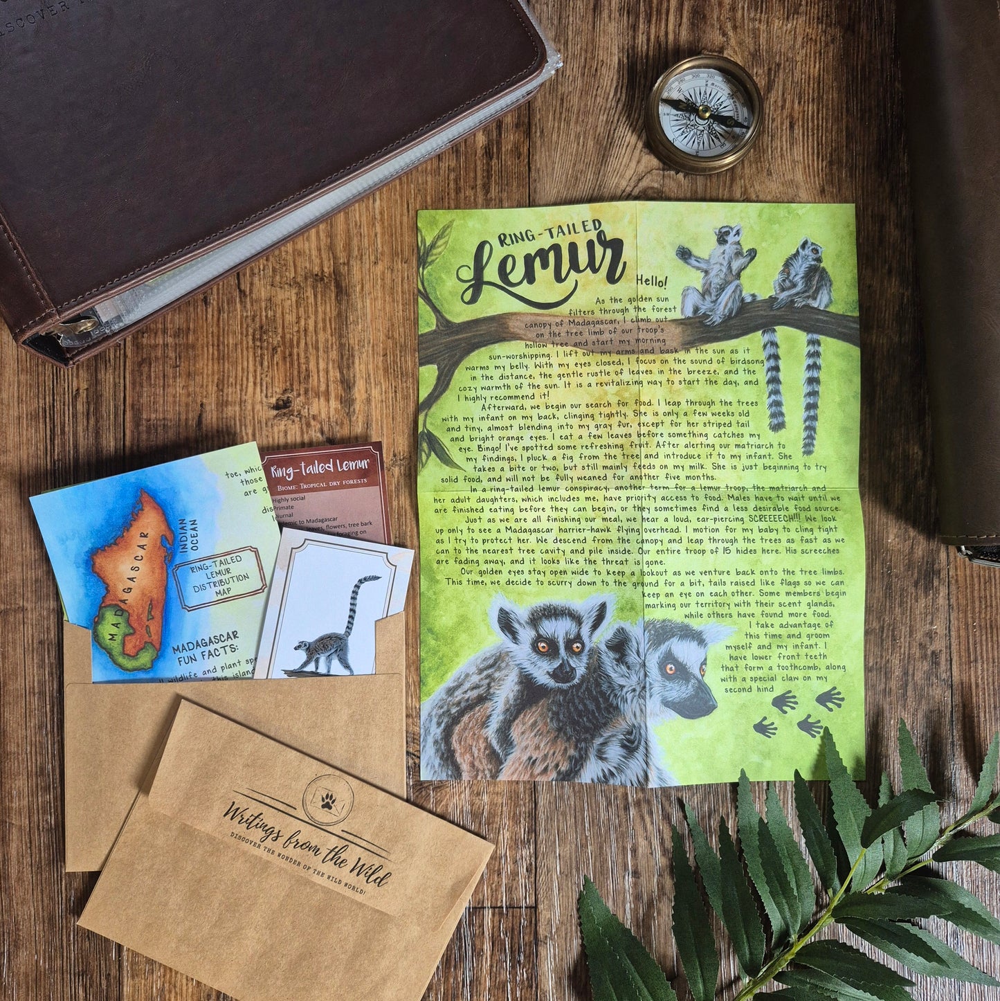 Lemur BASIC Letter May 2026