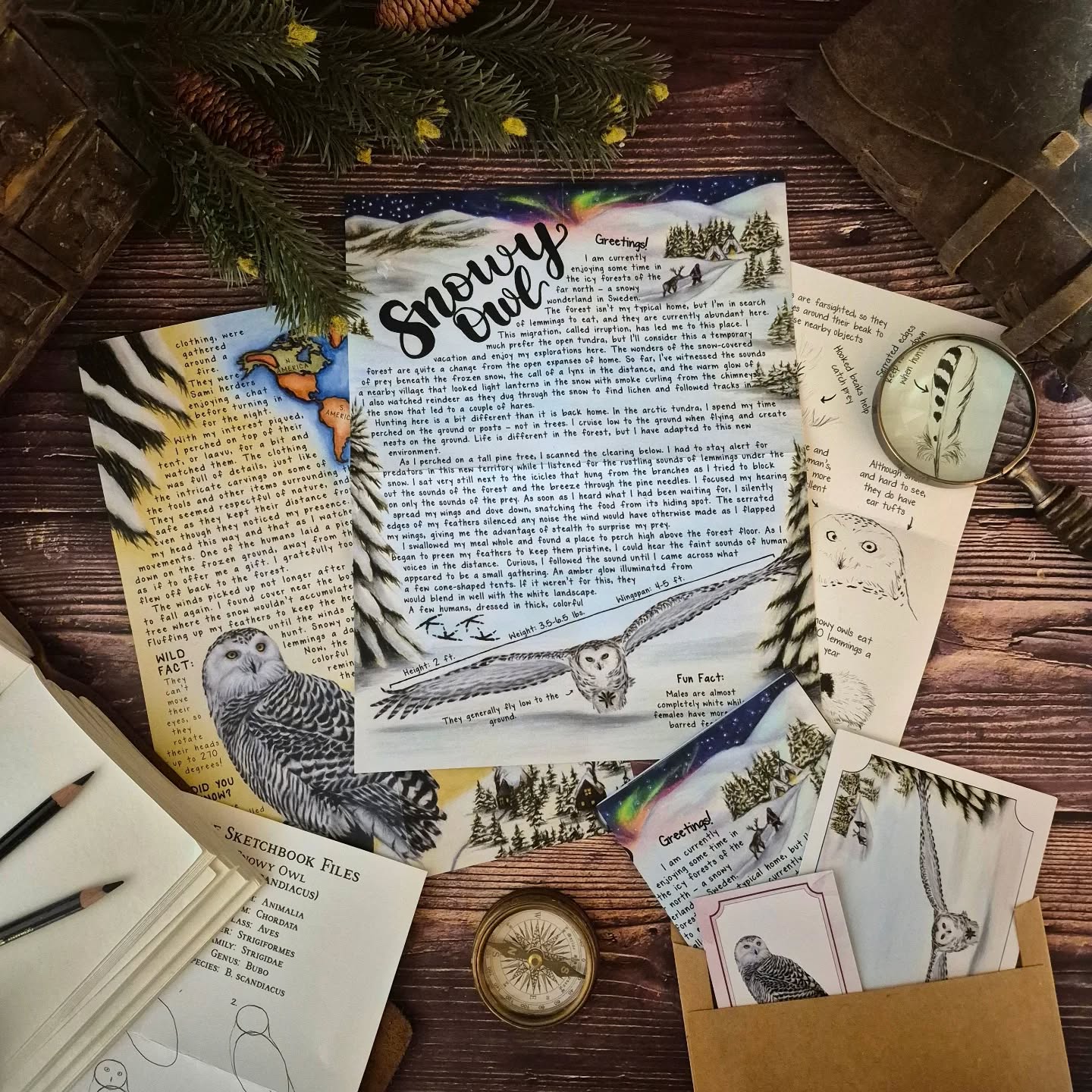 Snowy Owl PREMIUM January 2025