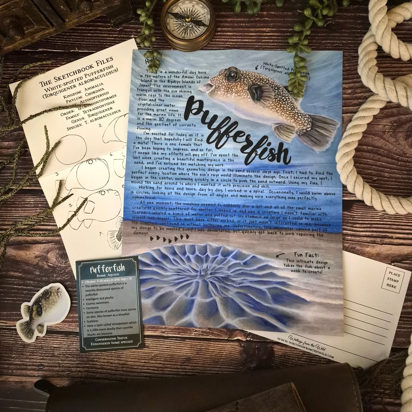 Pufferfish PREMIUM February 2025