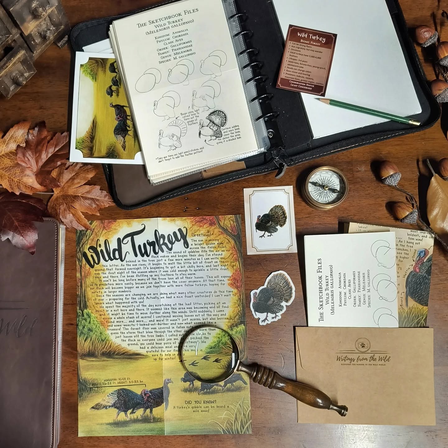 Wild Turkey PREMIUM Letter November 2024