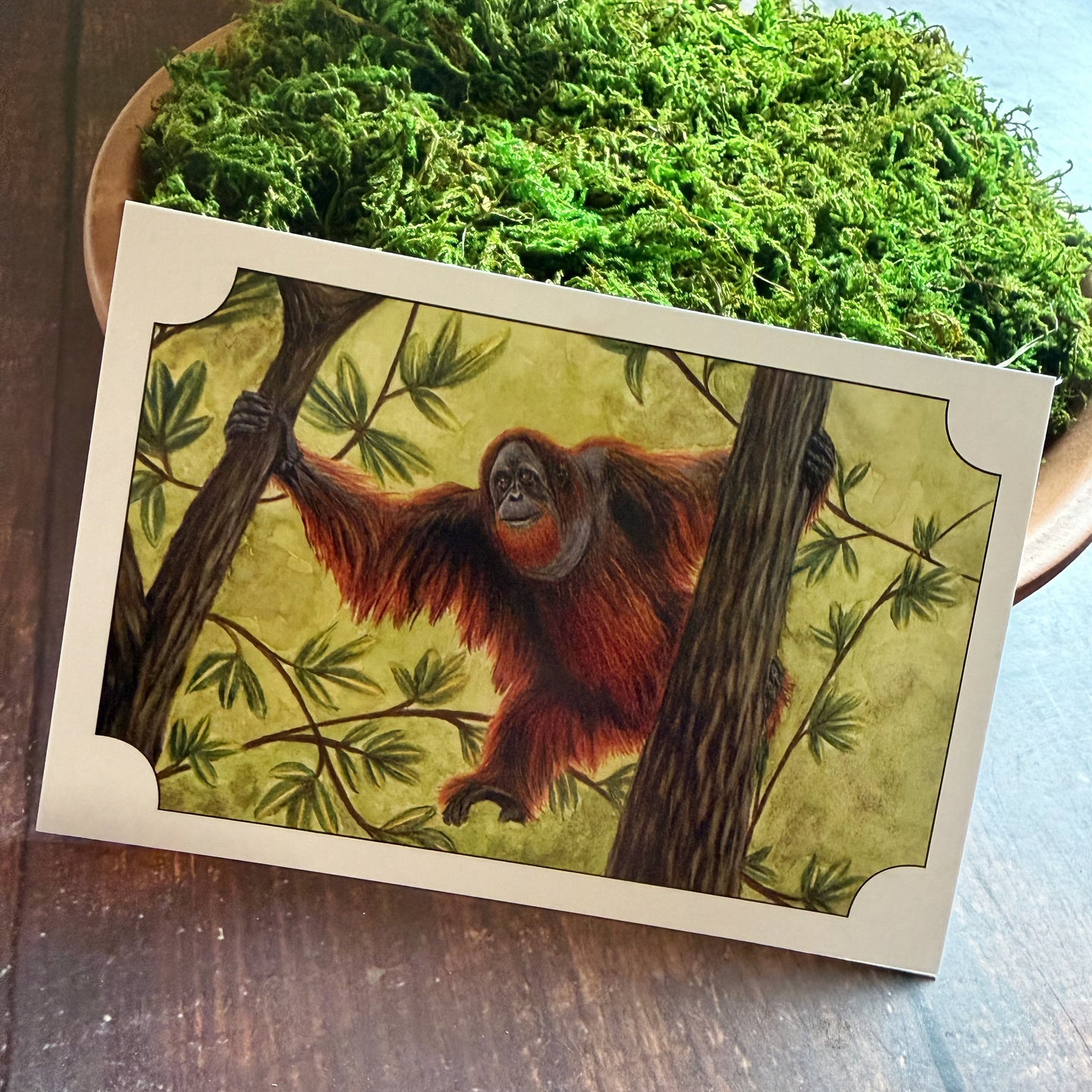 Bornean Orangutan Postcard