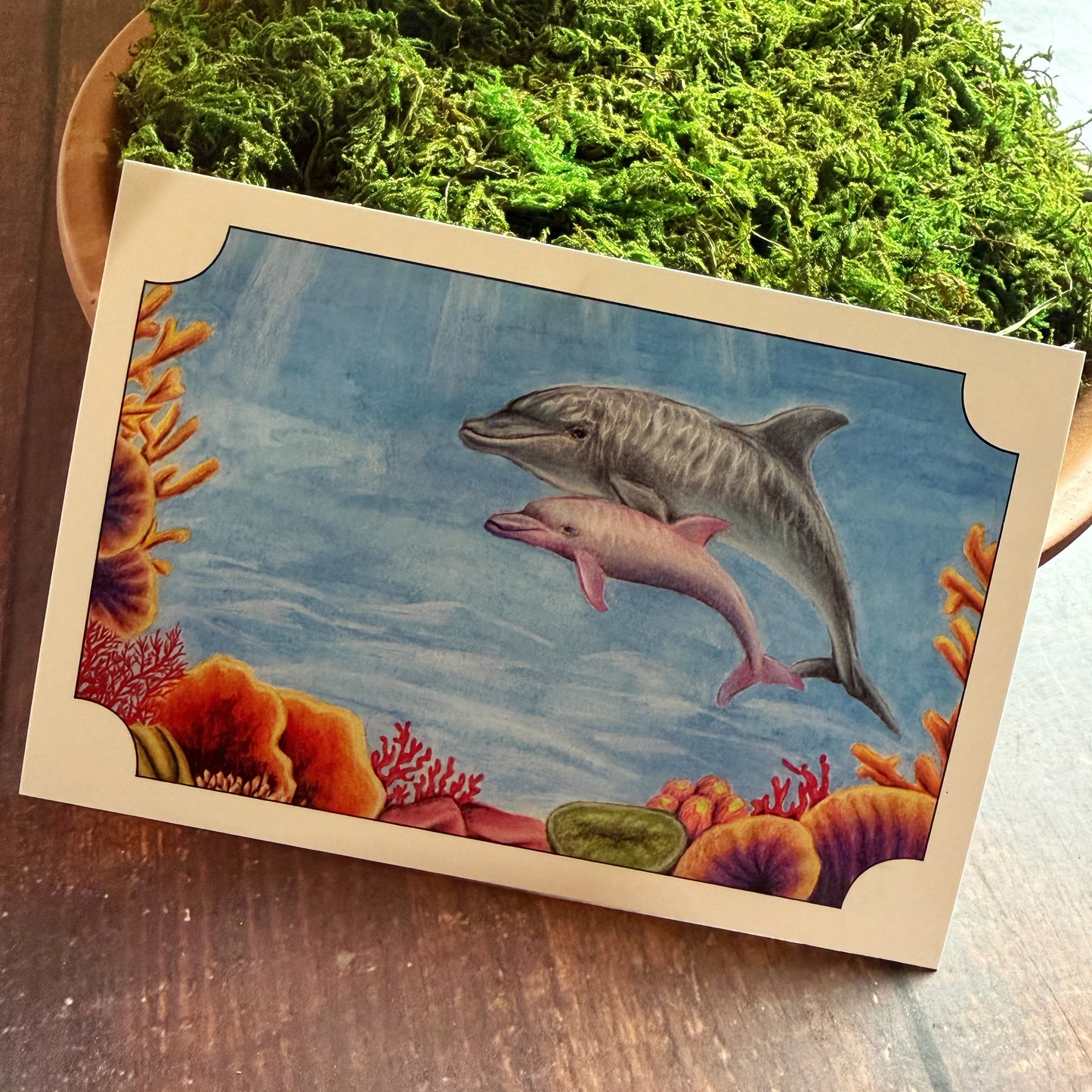 Bottlenose Dolphin Postcard
