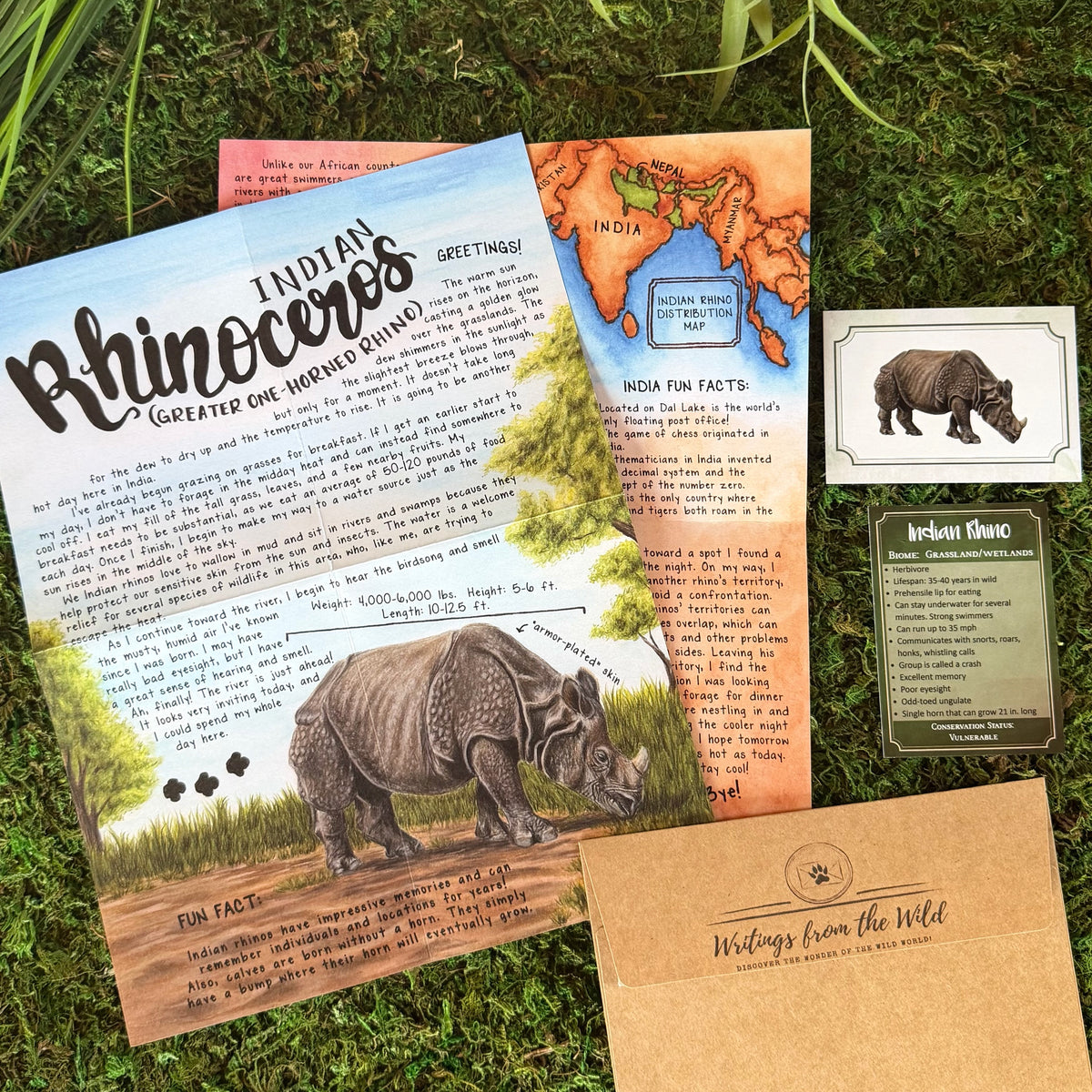 Indian Rhino BASIC Letter July 2026