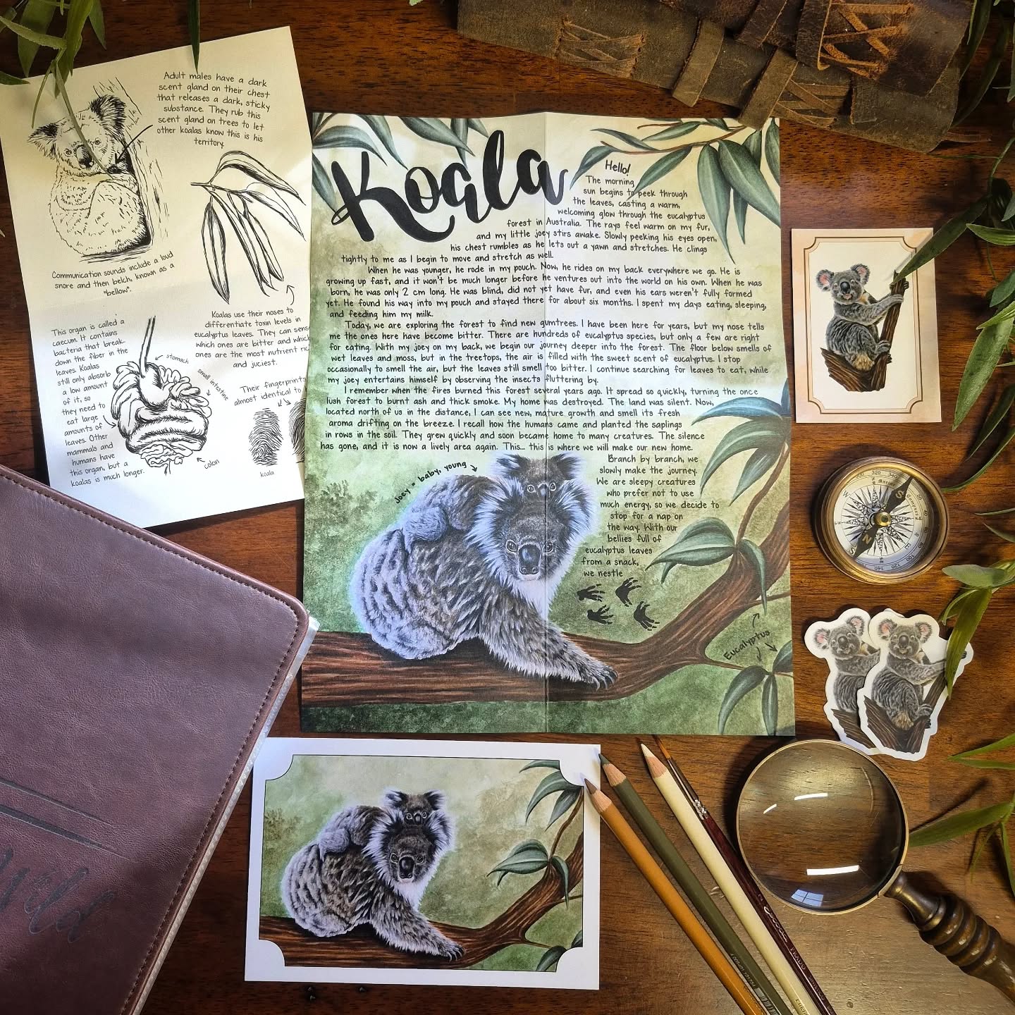 Koala PREMIUM Letter November 2025