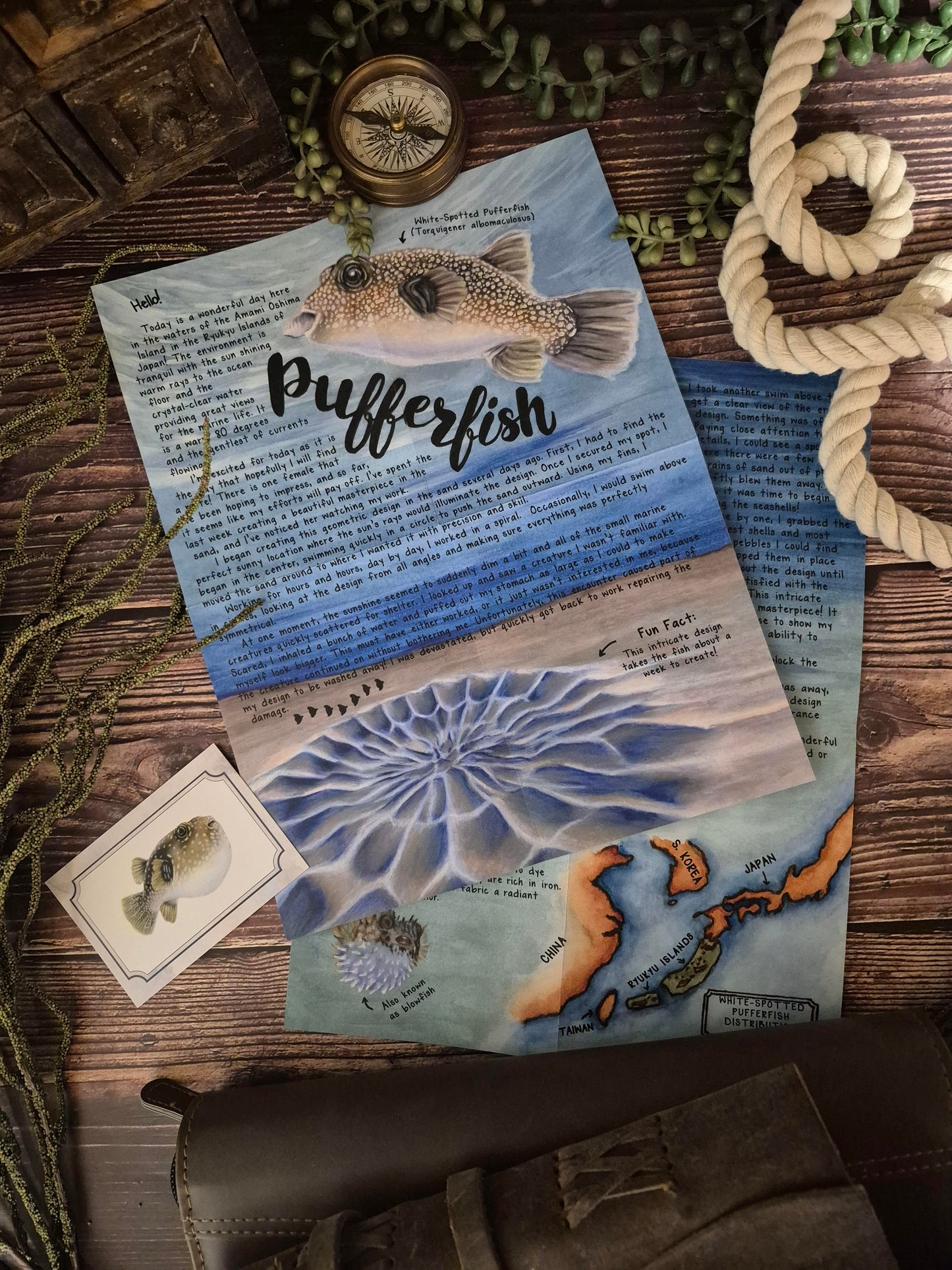 Pufferfish BASIC February 2025