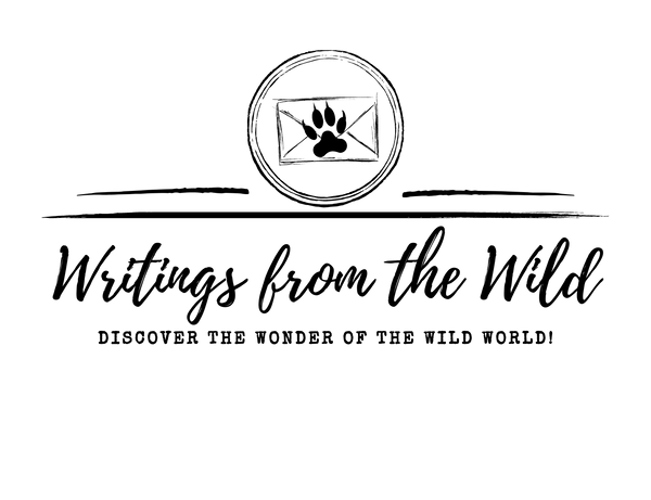 Writings from the Wild logo