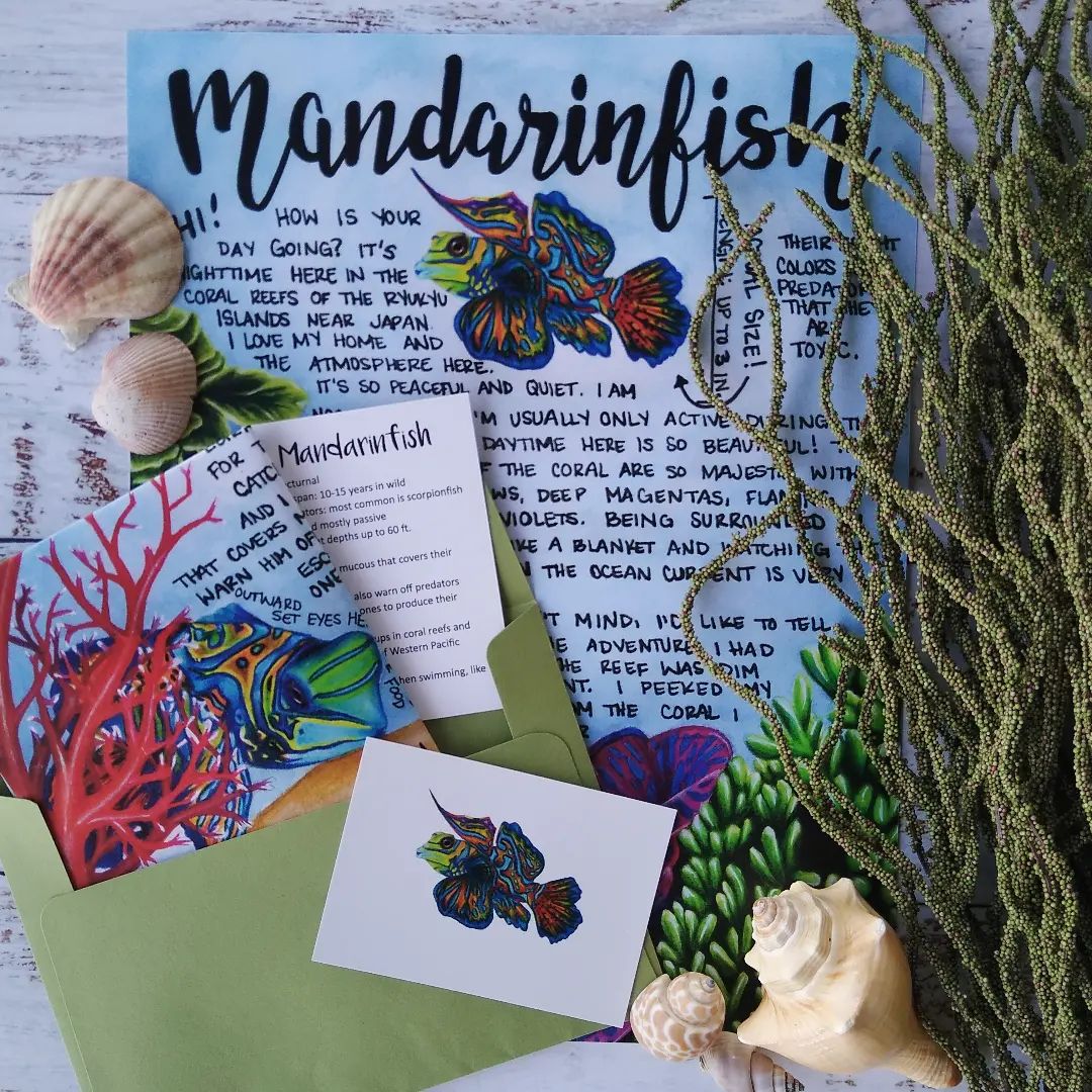 Mandarinfish Letter March 2022