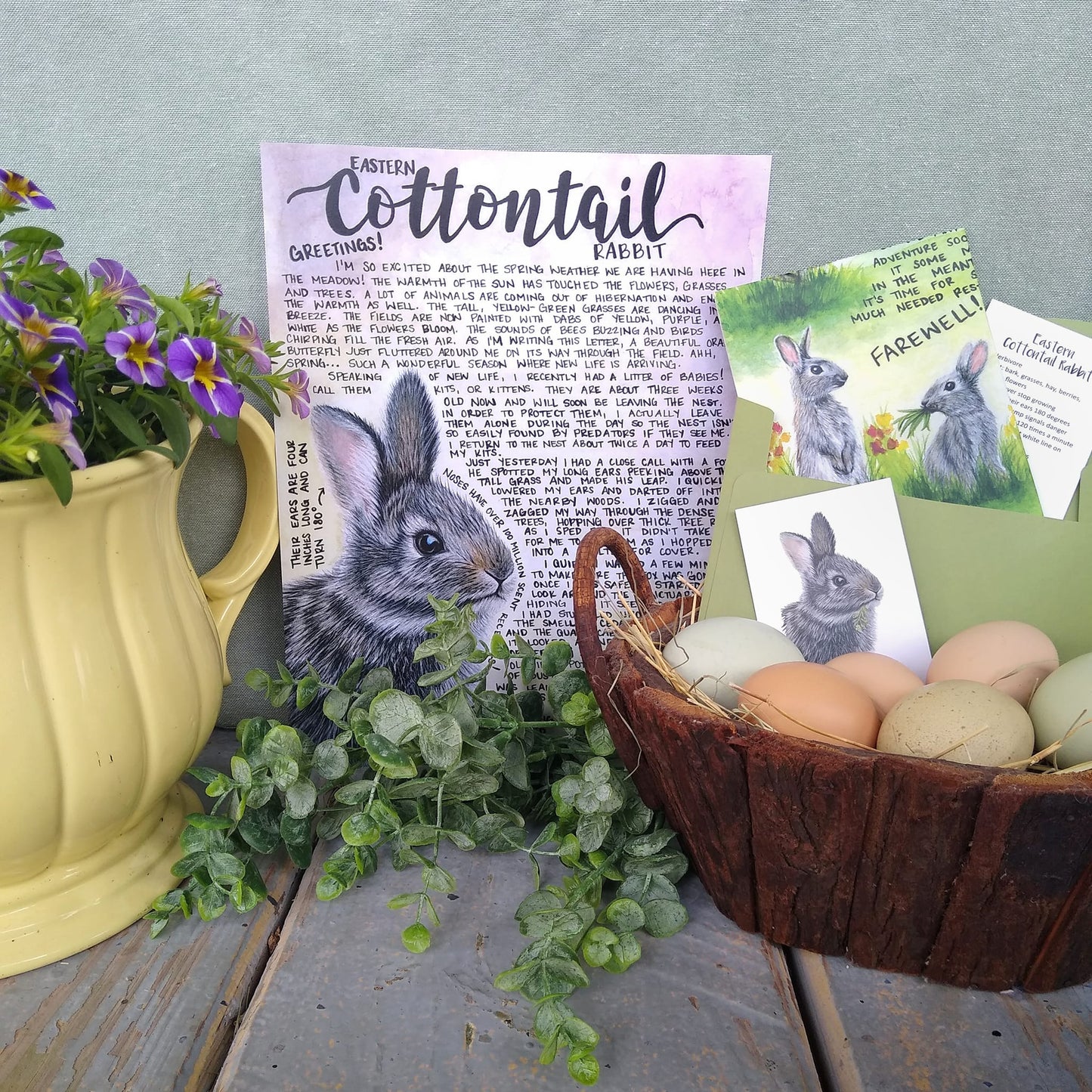 Cottontail Rabbit Letter April 2022