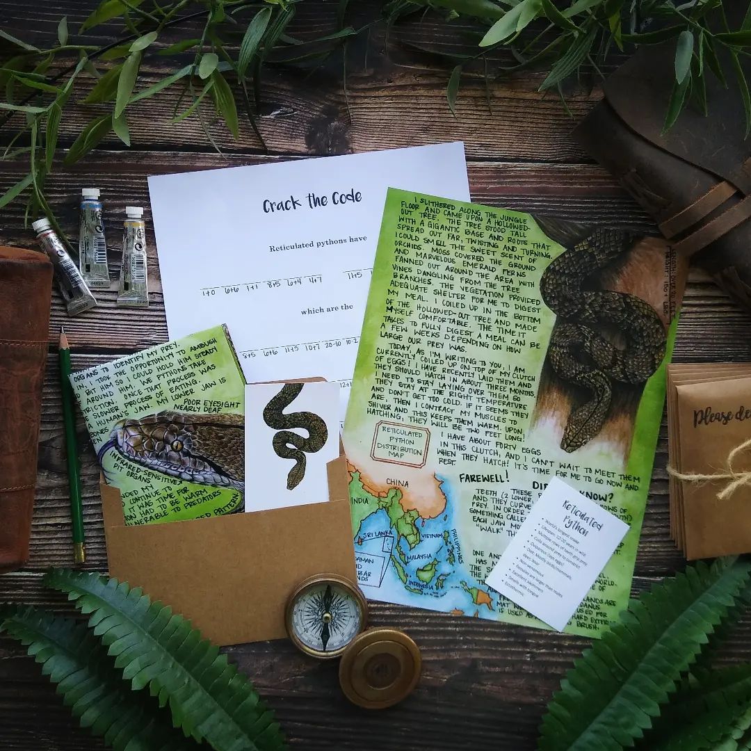 Reticulated Python September 2022