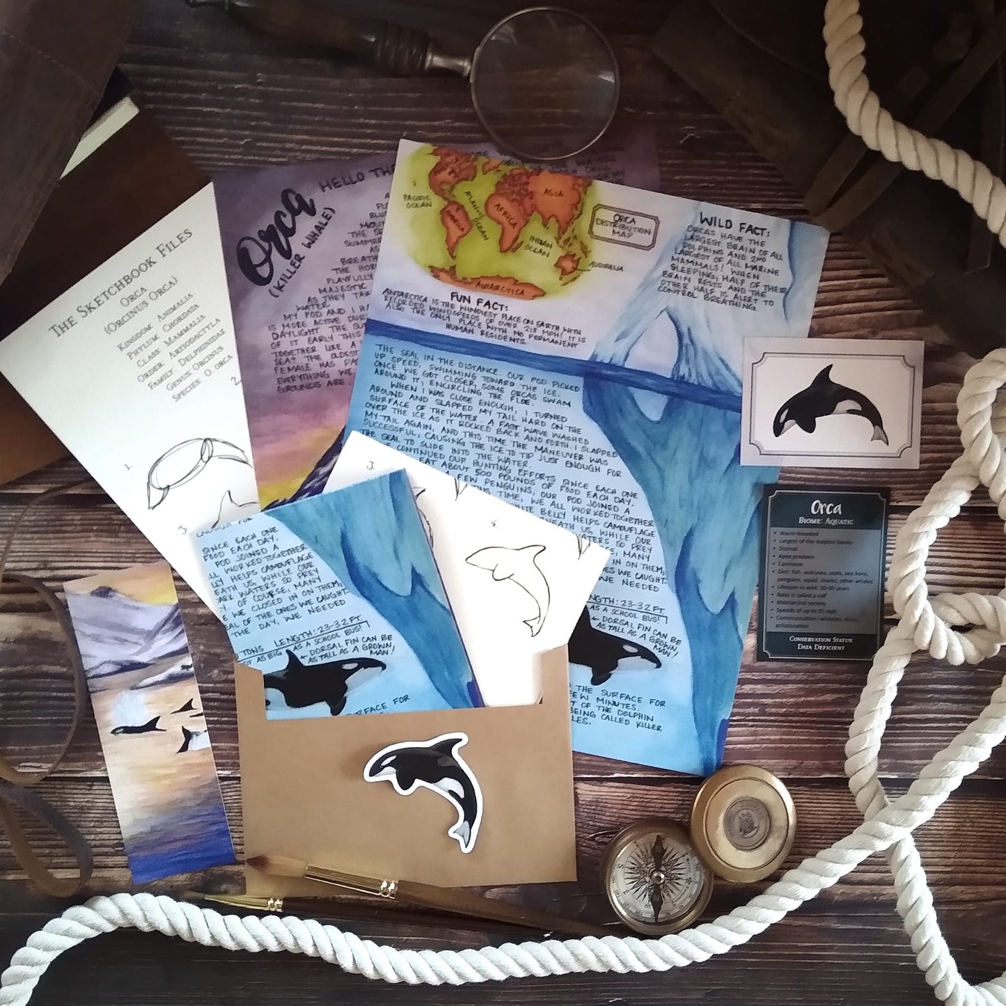 Orca Letter PREMIUM January 2023