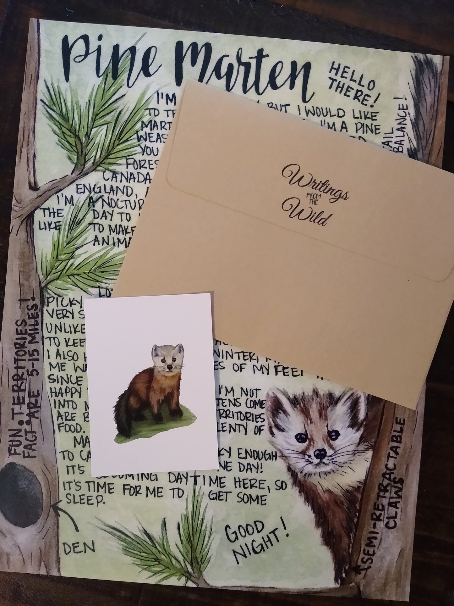 Pine Marten Letter May 2019