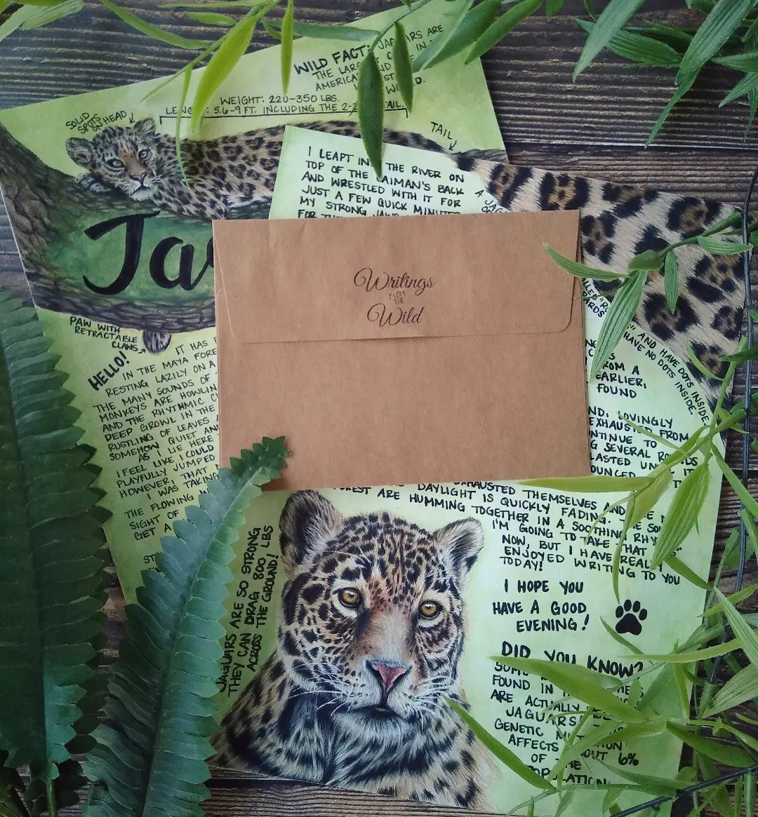 Jaguar Letter February 2022