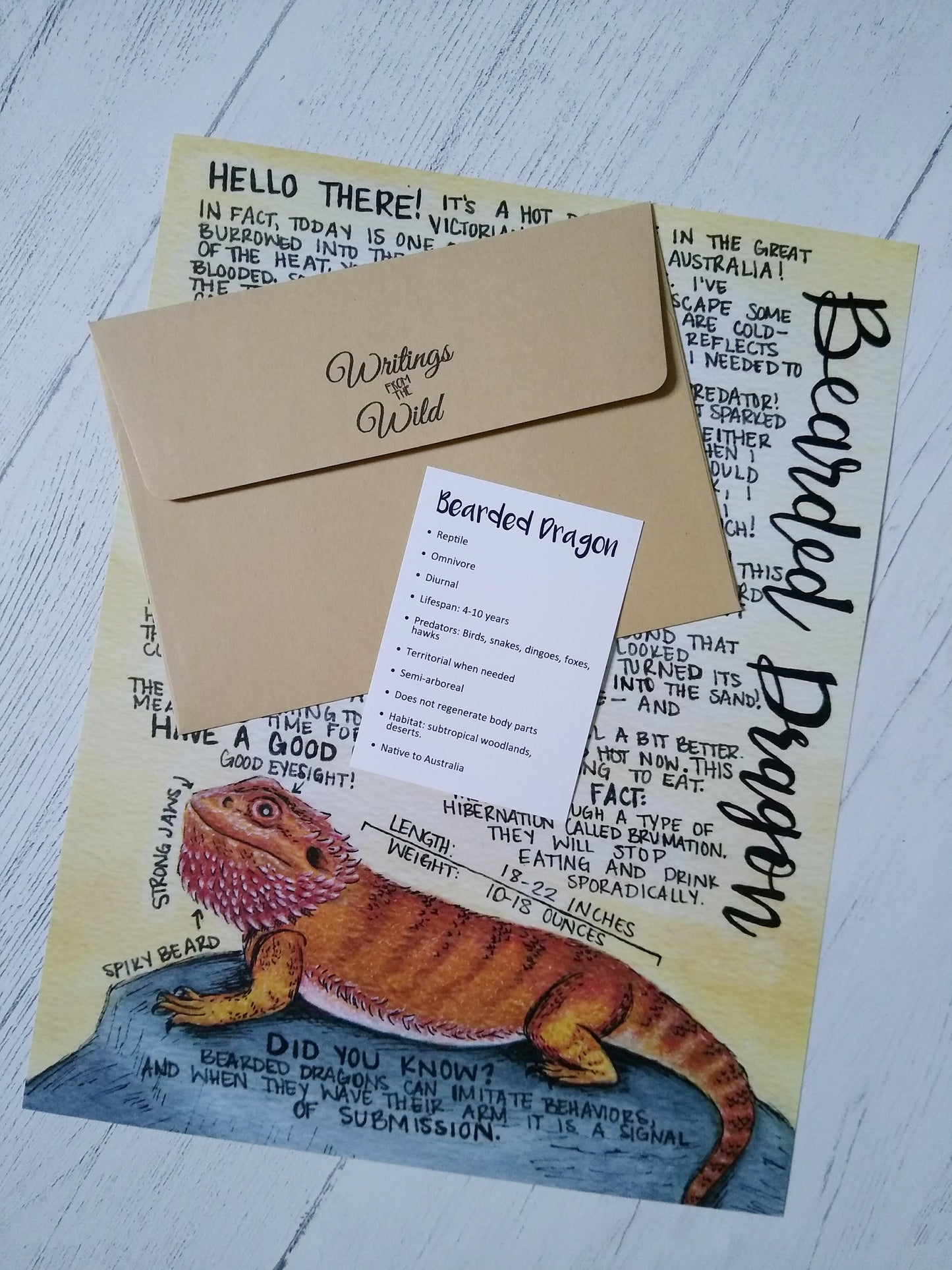 Bearded Dragon Letter September 2020