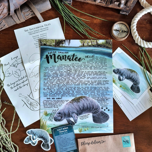 Manatee BASIC Letter June 2024