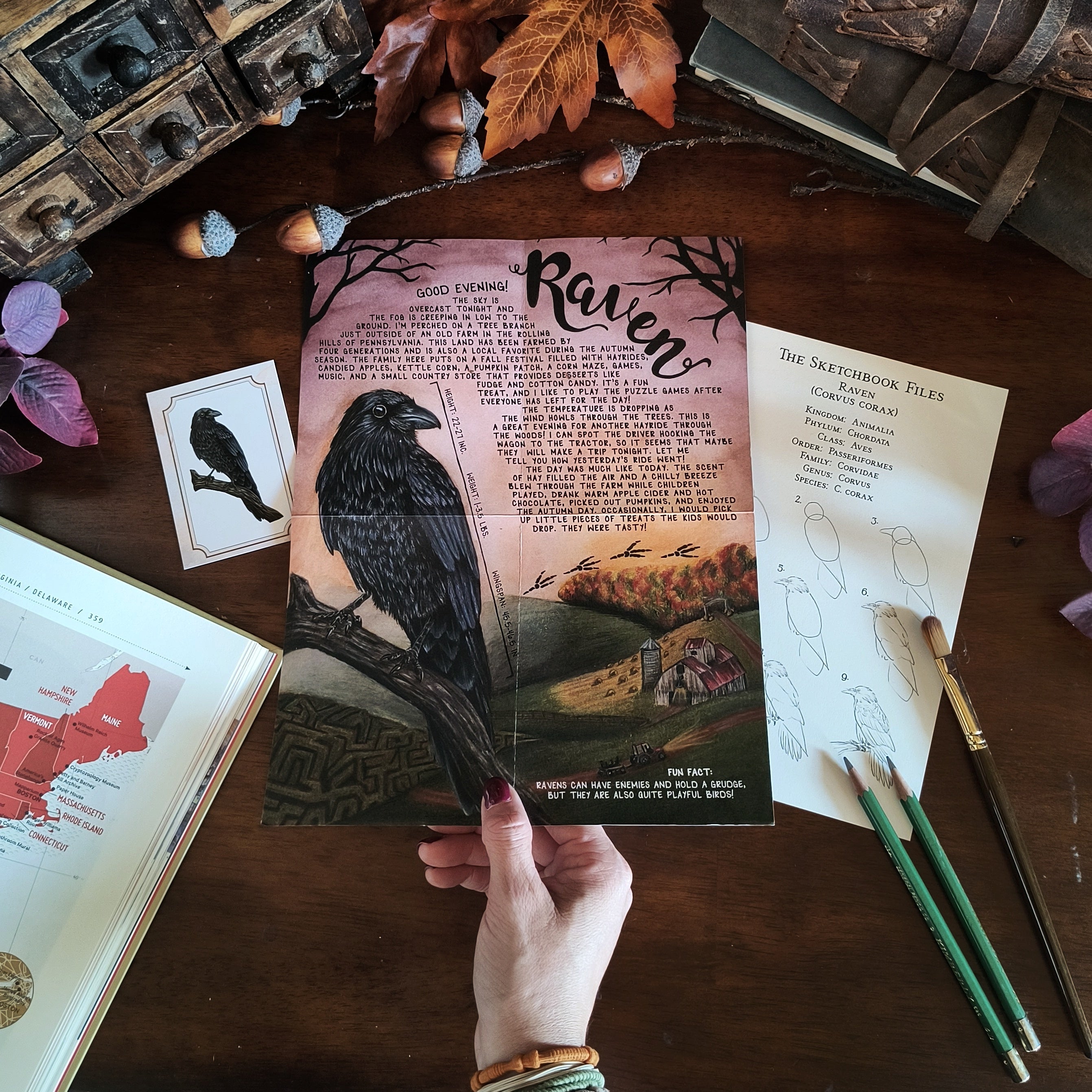 Past Letters – Writings from the Wild