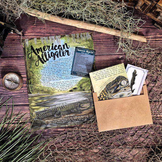 American Alligator BASIC Letter - April 2025