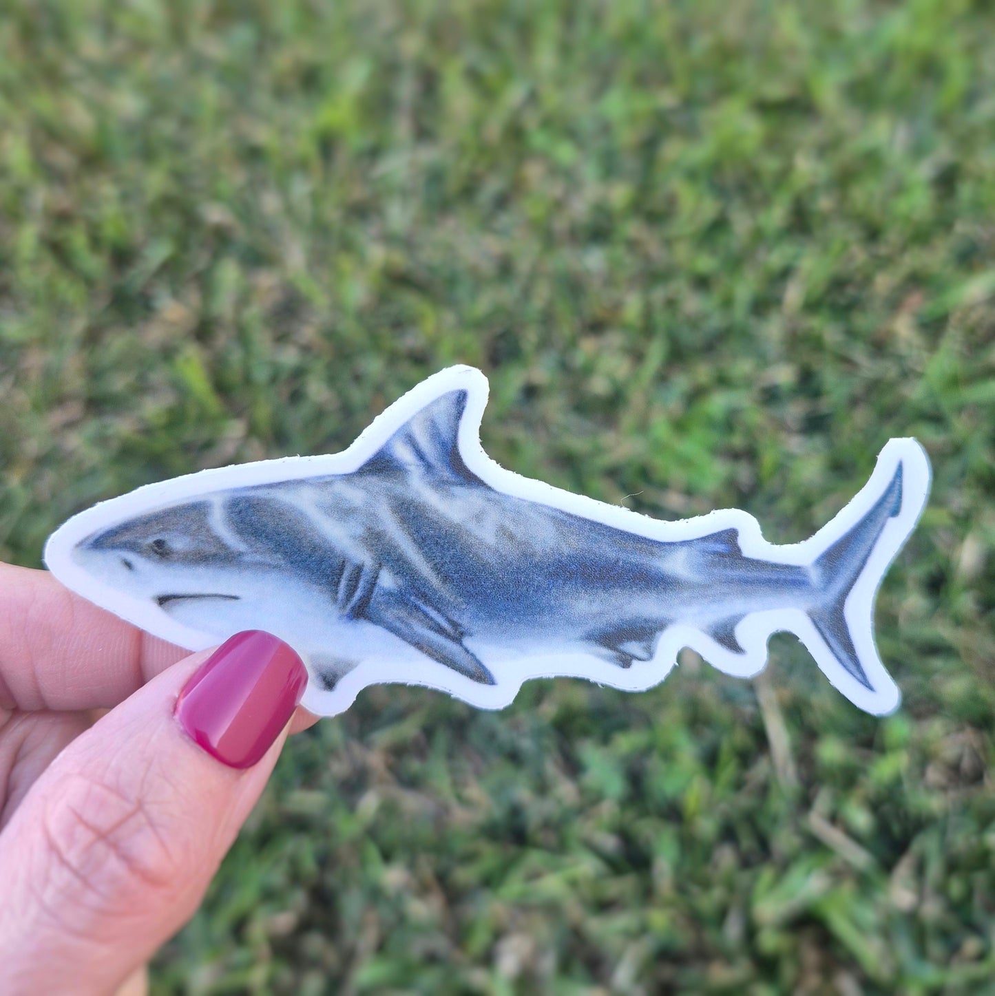 Bull Shark Sticker