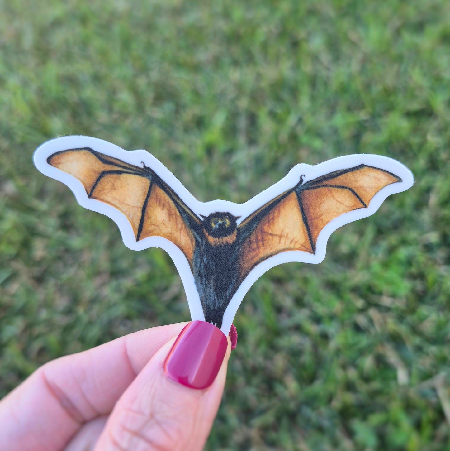 Bat Sticker