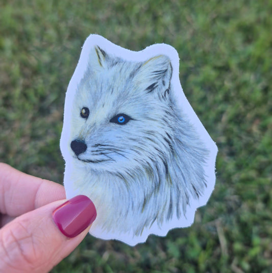 Arctic Fox Sticker