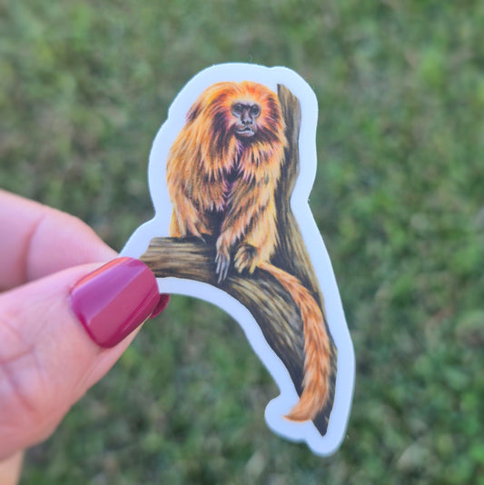 Golden Lion Tamarin Sticker