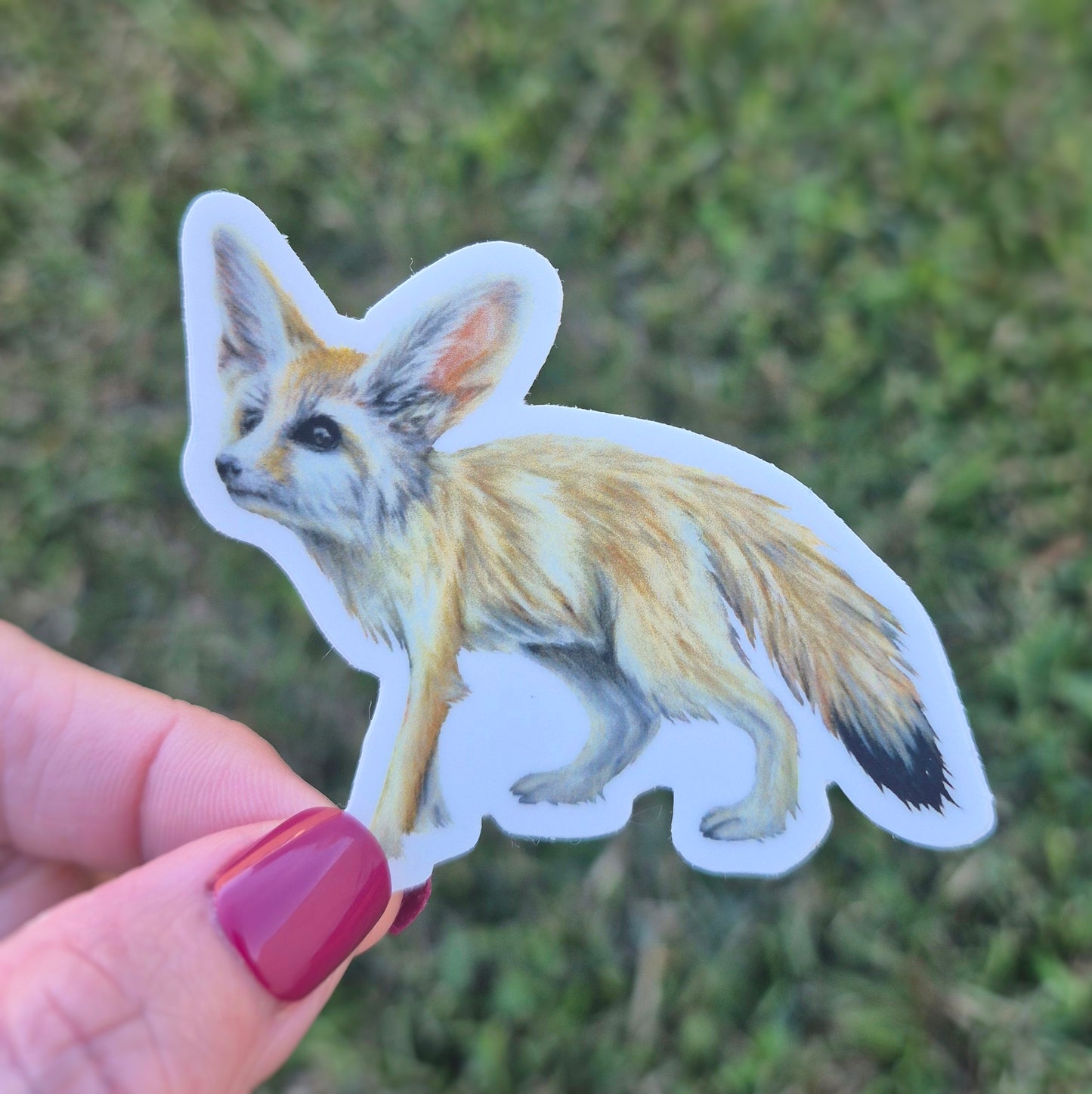 Fennec Fox Sticker