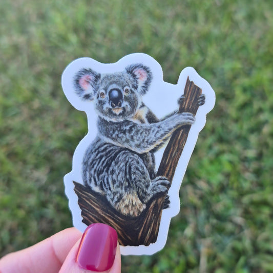 Koala Sticker