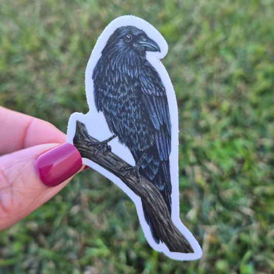 Raven Sticker