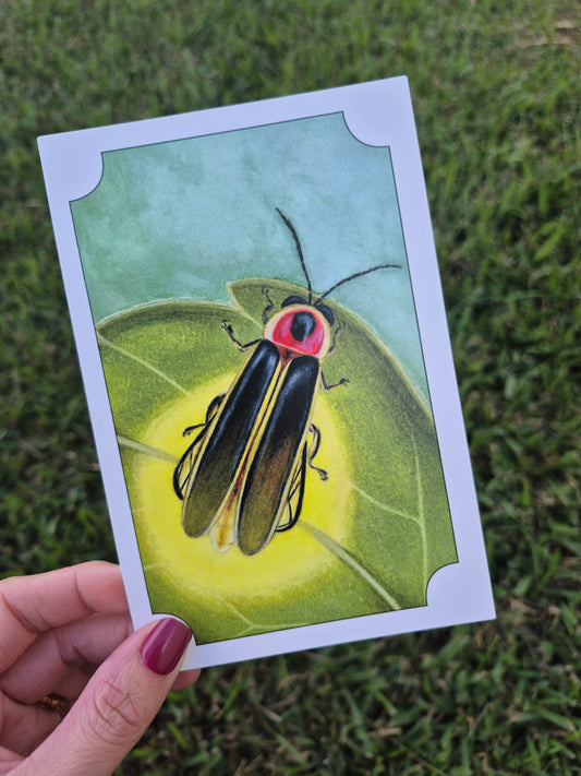 Firefly Postcard