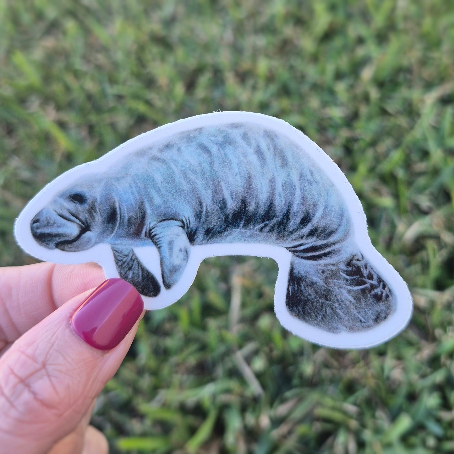 Manatee Sticker