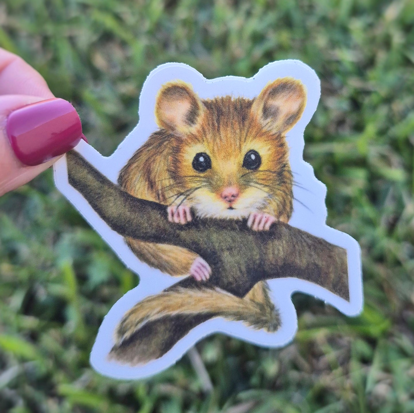 Hazel Dormouse Sticker