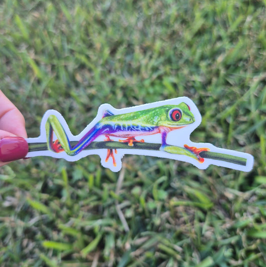 Red-Eyed Tree Frog Sticker 2
