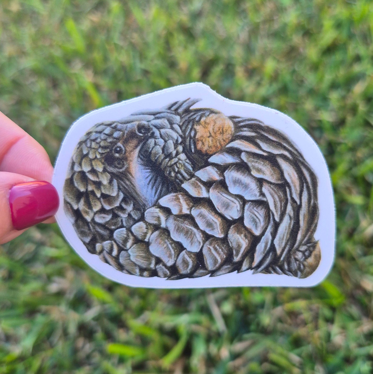 Pangolin Sticker