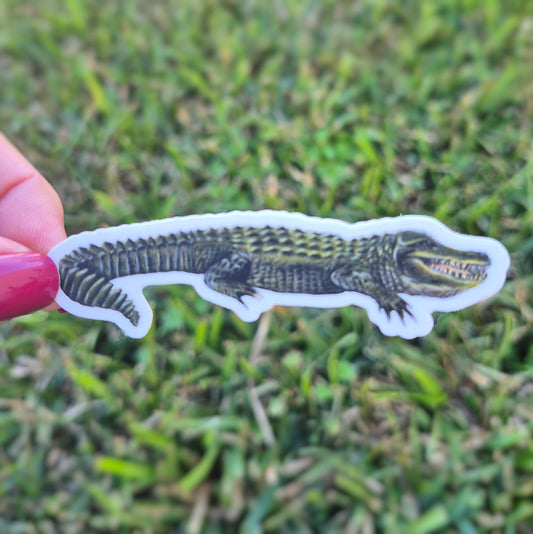 Alligator Sticker