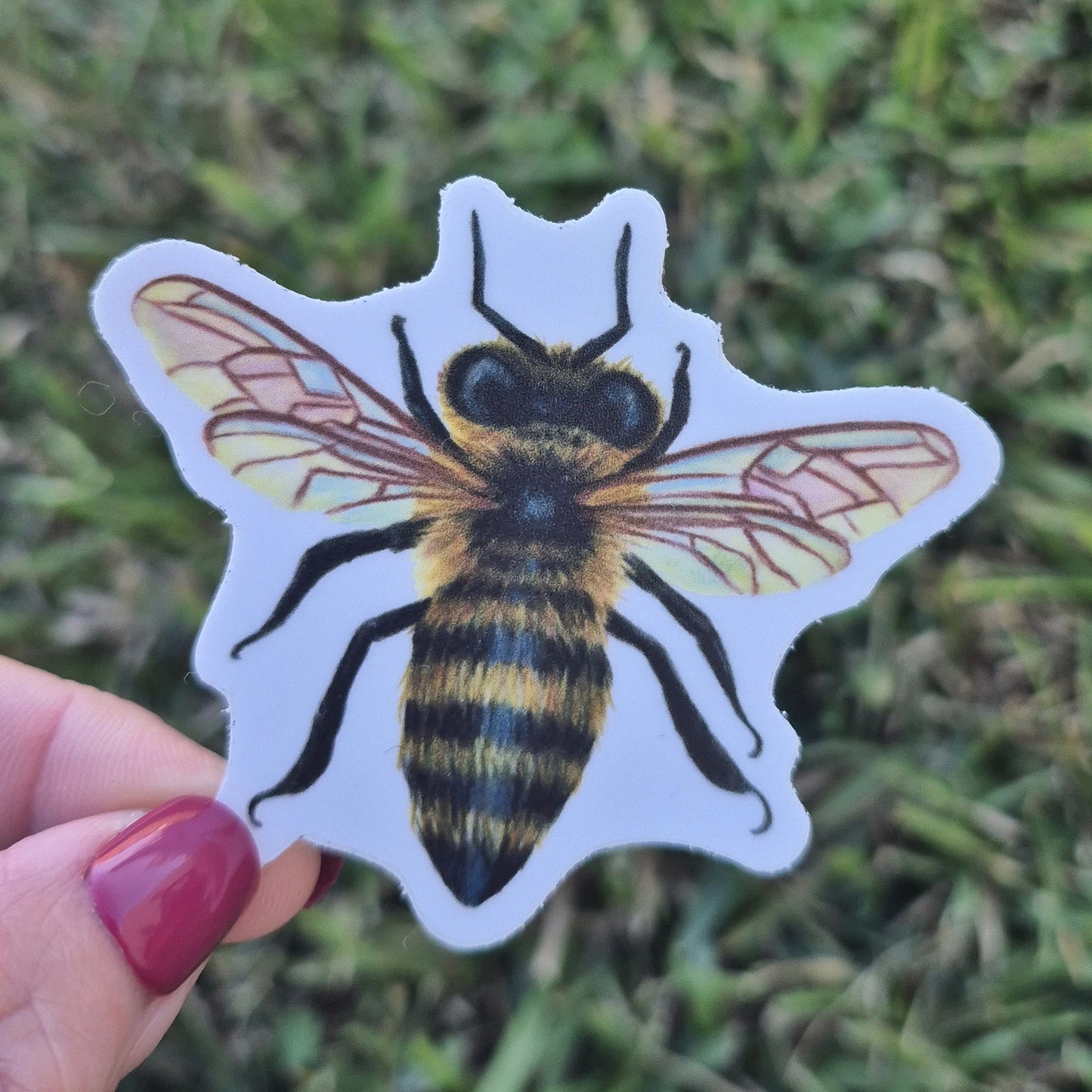 Honey Bee Sticker