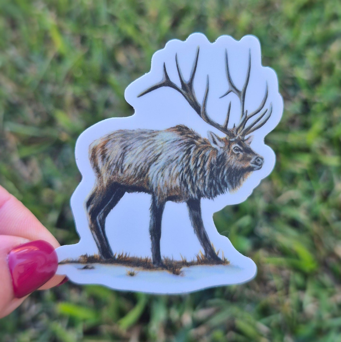 Elk Sticker