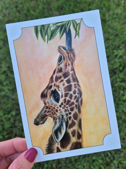 Giraffe Postcard