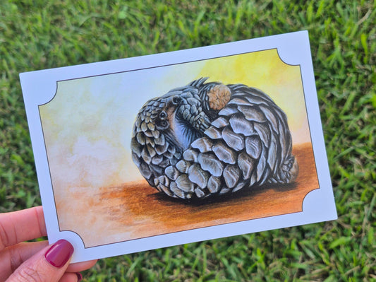 Pangolin Postcard