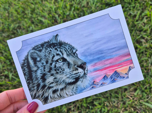 Snow Leopard Postcard