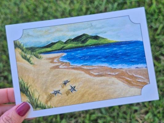 Leatherback Sea Turtle Postcard