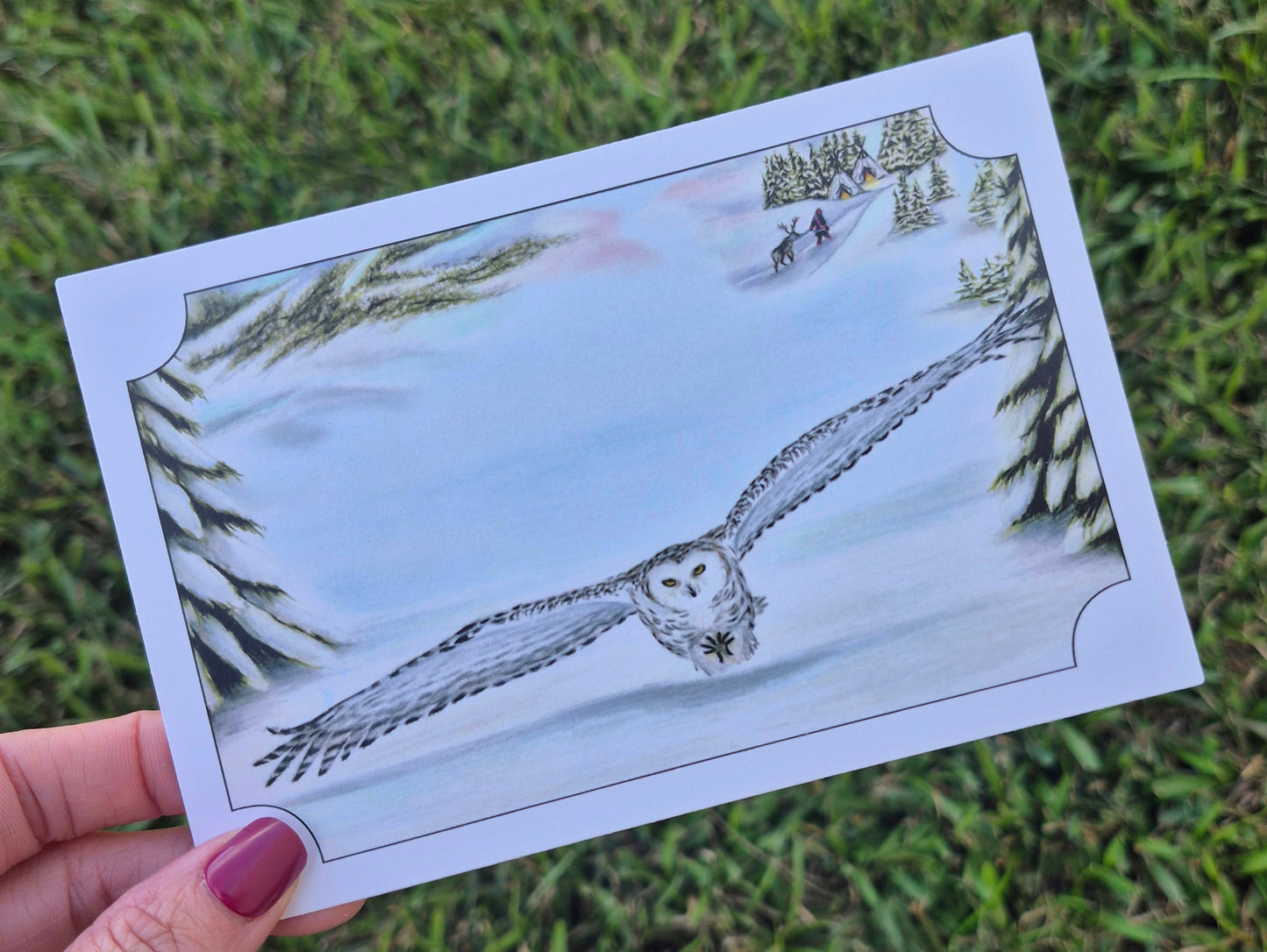 Snowy Owl Postcard