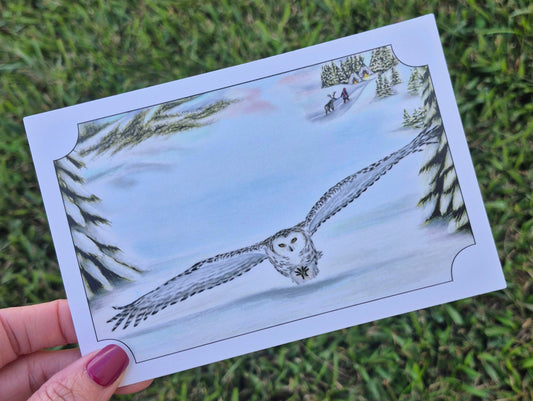 Snowy Owl Postcard